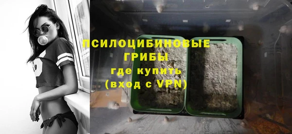 apvp Елизово