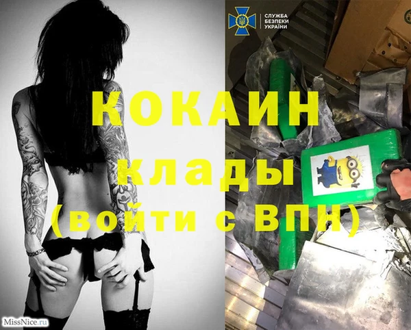 дурь Елабуга