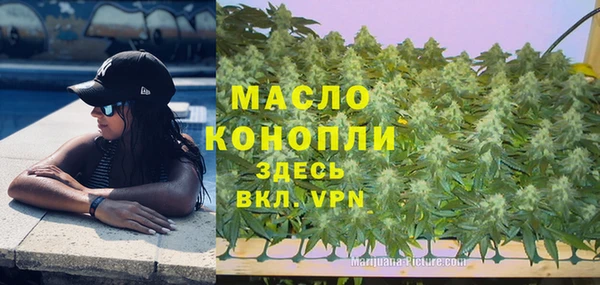 мдма Ельня