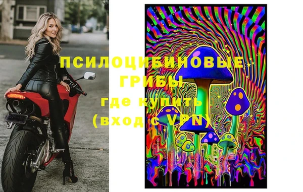 дурь Елабуга