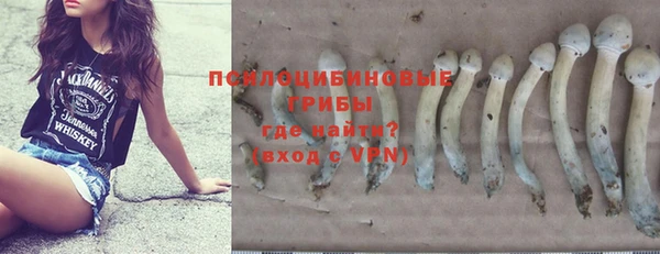 дурь Елабуга